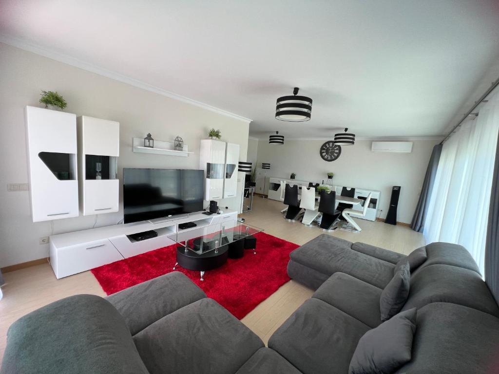 波尔蒂芒Rocha Prime - Standing apartment T3的带沙发和平面电视的客厅