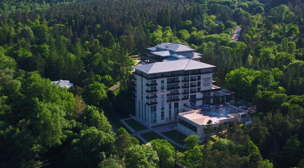 博尔若米博尔若米里卡尼健康和水疗中心酒店 的树林中建筑物的空中景观