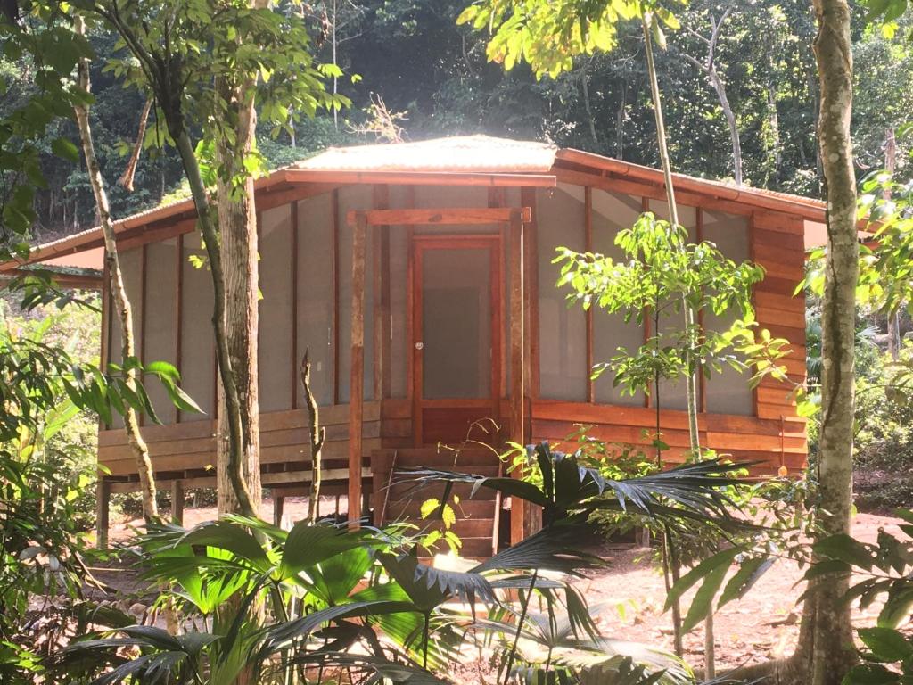 塔拉波托La Musa Verde的森林中间的小小屋