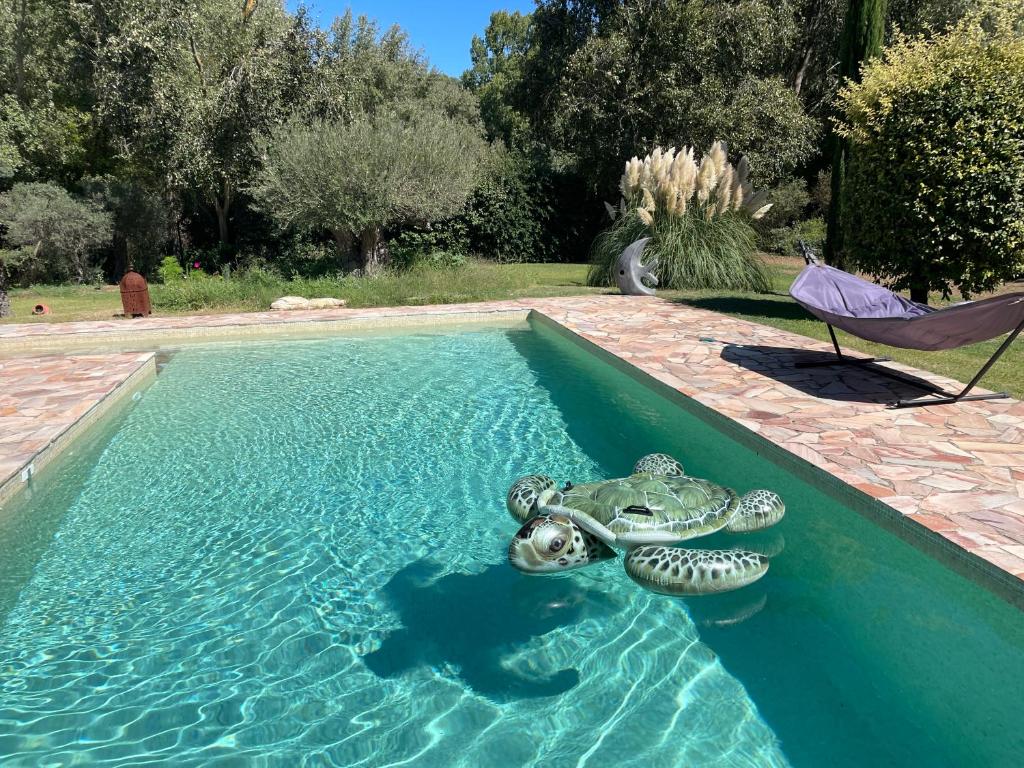 弗维沃FUVOLEA, Maison de vacances à 15 min du centre d'Aix-en-Provence, piscine chauffée en saison - jardin - parking privé gratuit的游泳池,在水中设有充气蛇