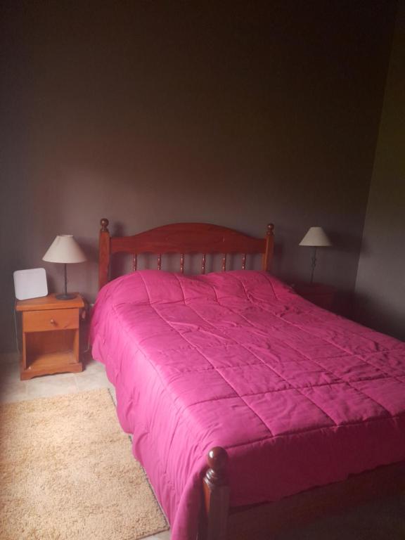 内科切阿Casa en Necochea的一间卧室配有一张带粉红色棉被的床和床头柜