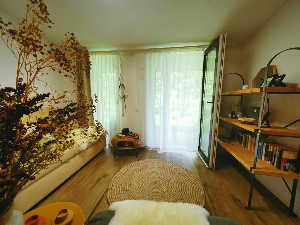 蒂米什瓦拉#outofboxproject tiny-home and garden house的客厅设有大窗户和地毯。