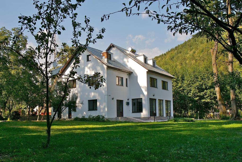 VaideeniMoara Viselor的绿色田野中间的白色房子