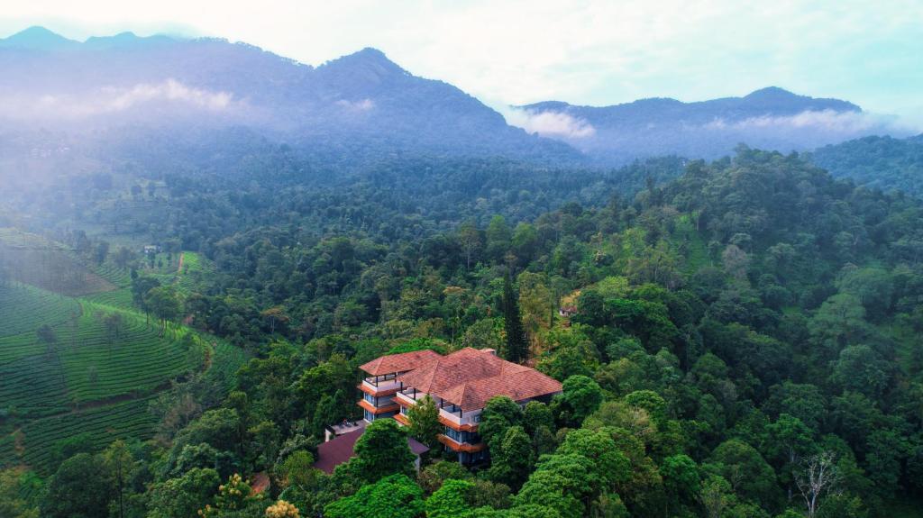 维特利Flora Vythiri Resort的森林中间房屋的空中景观
