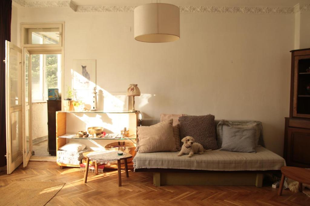 瓦尔纳Elie's Home的客厅配有带泰迪熊的沙发