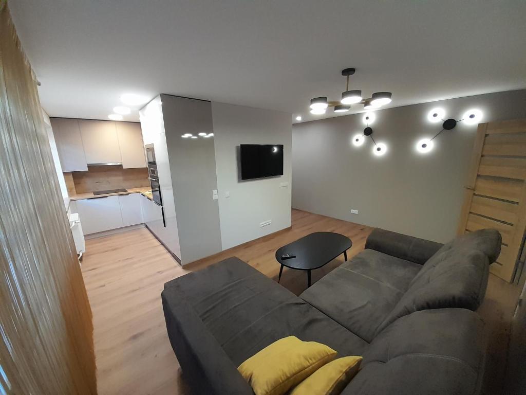 考纳斯Vytės apartamentai的带沙发的客厅和厨房