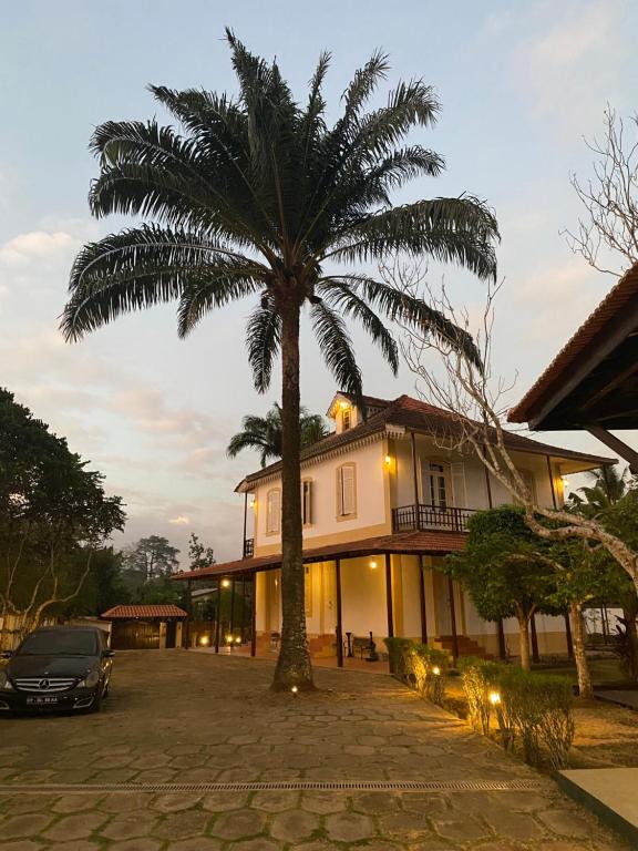 圣多美Roça Vale dos Prazeres的房屋前的棕榈树
