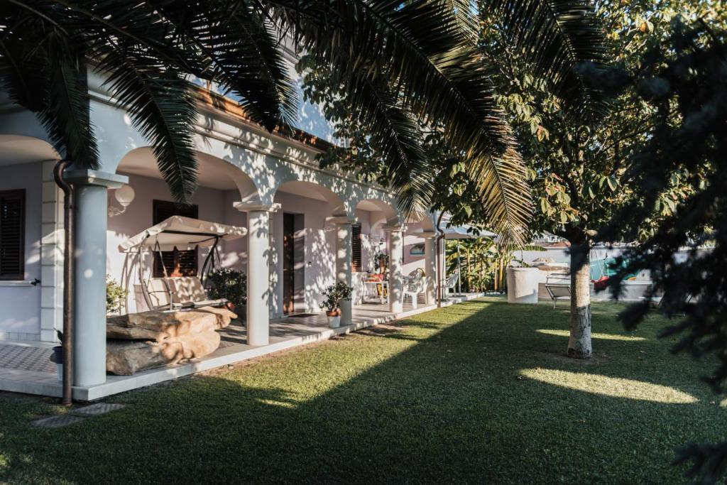 圣焦万尼泰亚蒂诺B&B Domus Aurea 20的棕榈树房屋的庭院