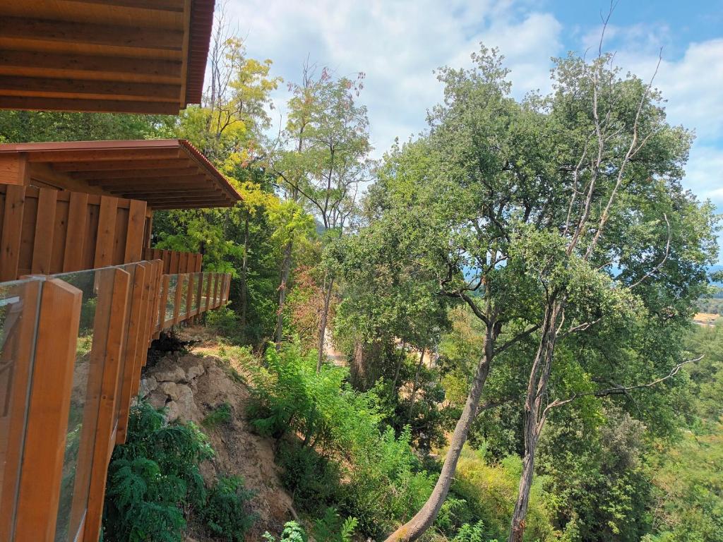 贝萨卢CAMPING DE BESALU的从树屋的一侧欣赏美景