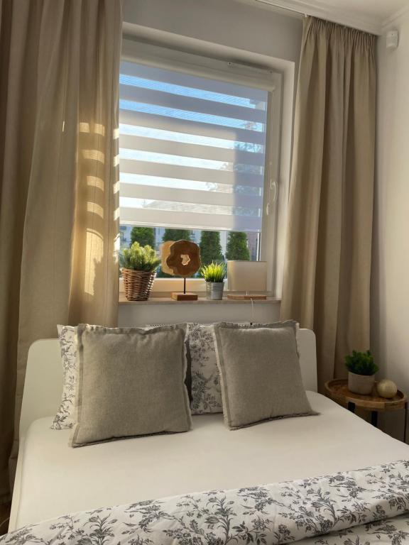 斯塔加德什切青Apartament Stella Park的卧室配有白色的床和窗户