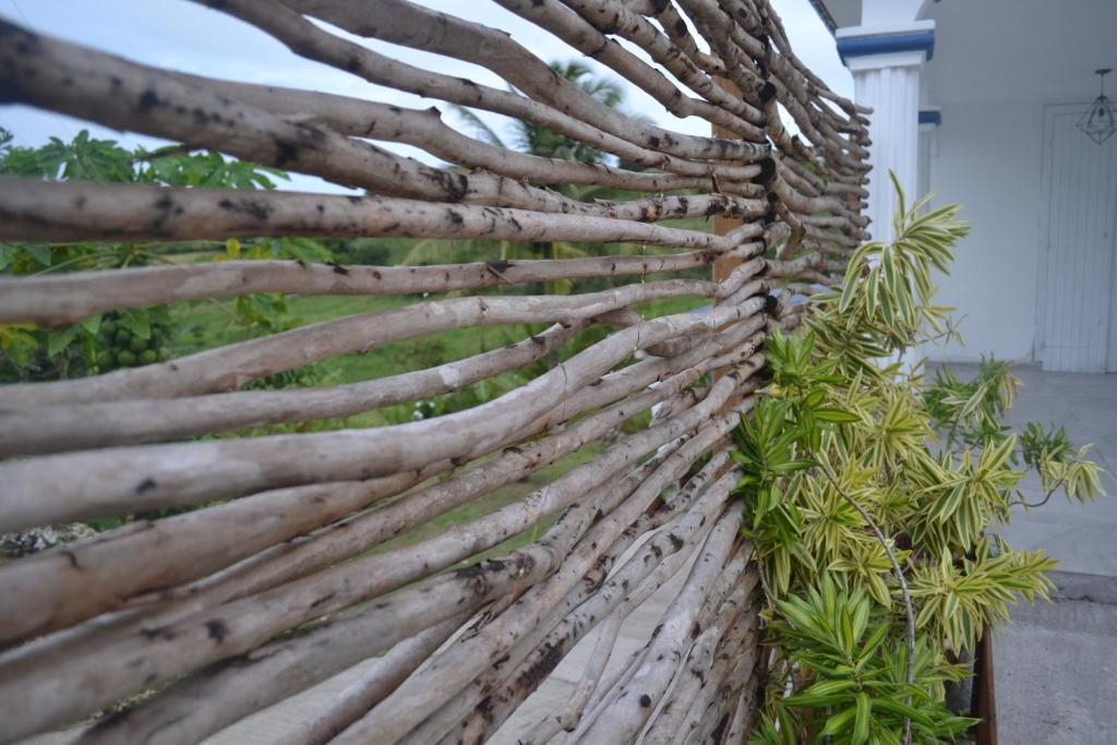 大博格Plumeria Hébergement Tiare的用木头和植物制成的栅栏