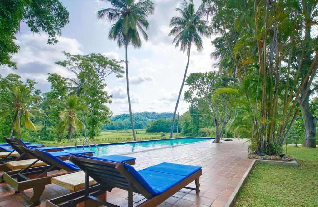 RidigamaRaddegoda Walawwa Kurunegala的一个带蓝色躺椅和棕榈树的度假游泳池