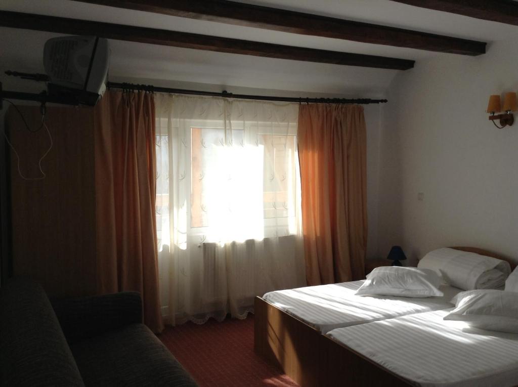 CosteştiPension Nicoleta的一间卧室设有两张床和窗户。