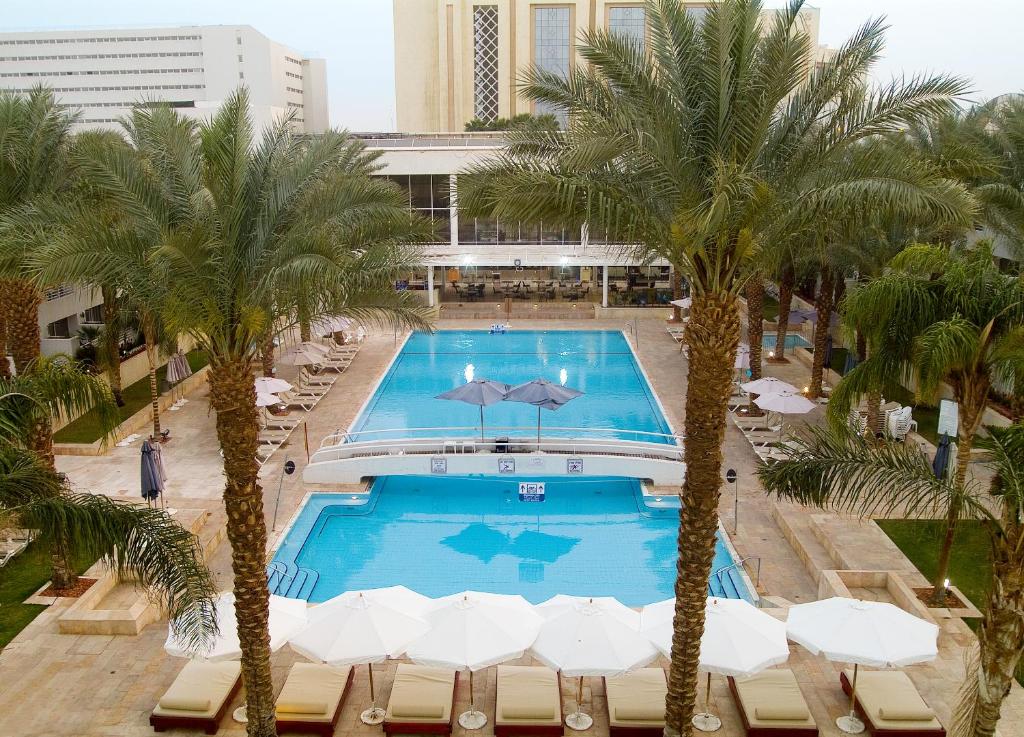 埃拉特莱昂纳多埃拉特皇家度假酒店的享有棕榈树游泳池的顶部景致