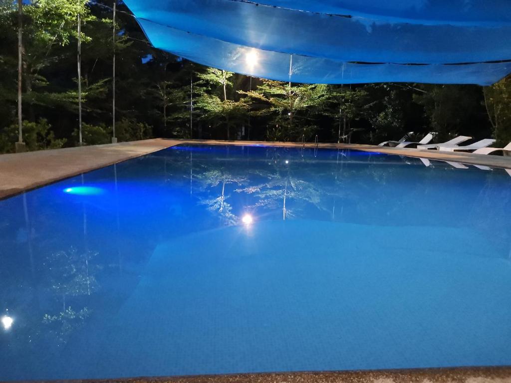YUMIYAMI FARM AND RESORT的度假村内的一个蓝色海水游泳池