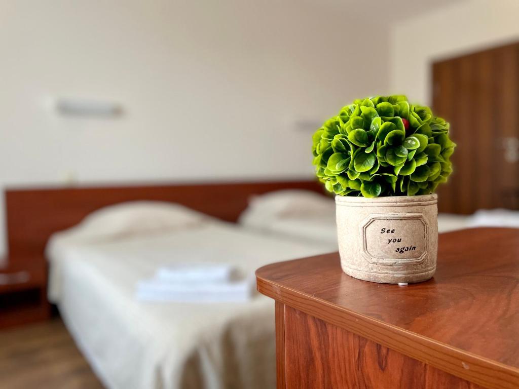 多斯帕特Хотел Лагуна的坐在卧室桌子上的盆栽植物
