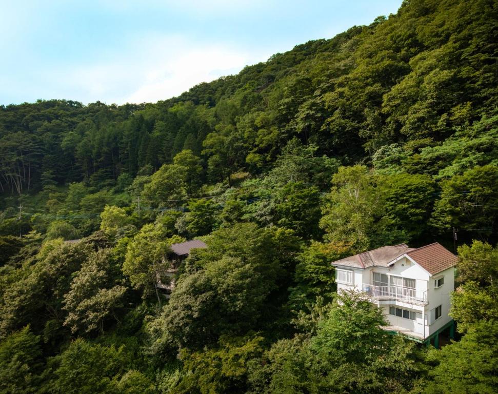 轻井泽Kanra-gun - House / Vacation STAY 2833的山中的房子