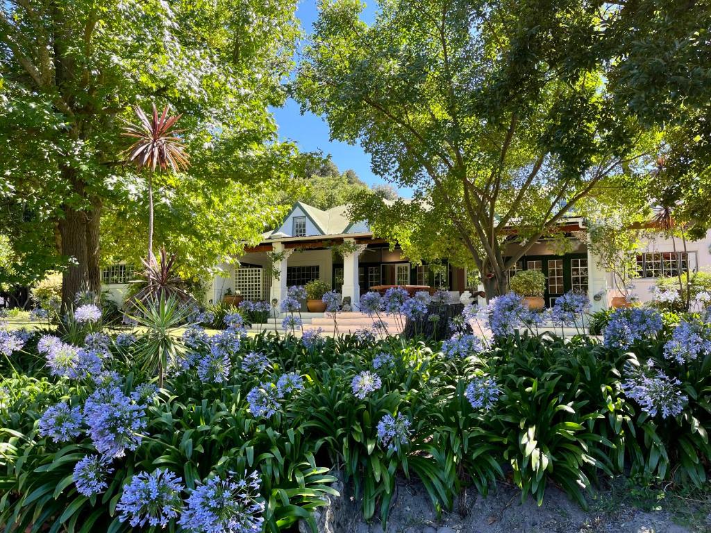 弗朗斯胡克德布伦德尔住宿加早餐旅馆的一座花园,在房子前面种有紫色的花朵