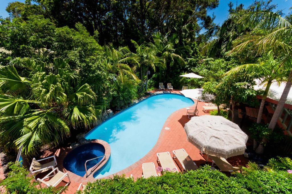 麦夸里港雪莉海滩度假酒店的享有带椅子和树木的游泳池的顶部景致