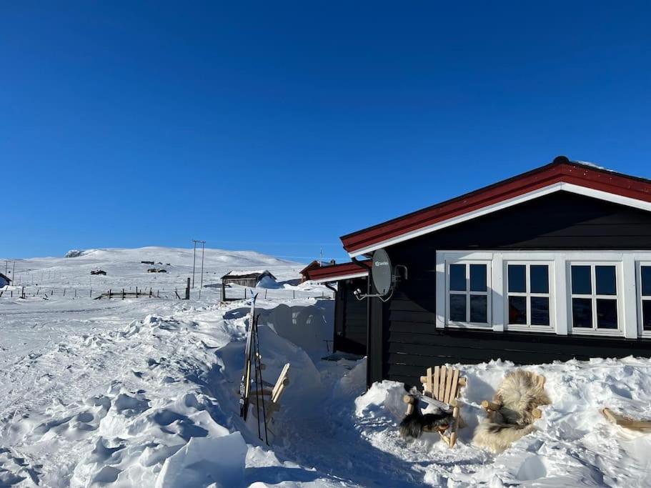 耶卢Seterhytte i Havsdalen的前面的雪覆盖的房子