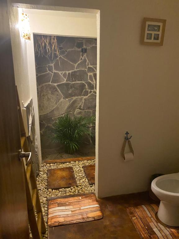 图斯潘罗德里格斯卡诺Coconi House的一间带卫生间和石墙的浴室