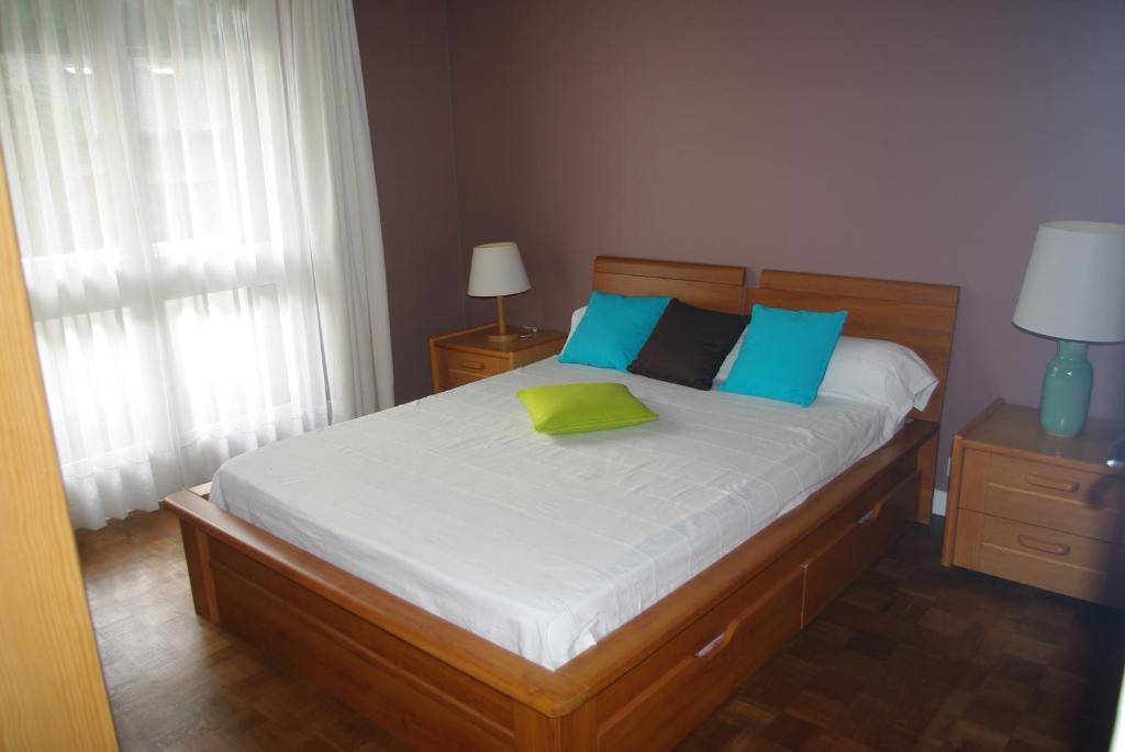 圣让-德吕兹Appartement Résidence du Lac的一间卧室配有一张带蓝色和绿色枕头的床