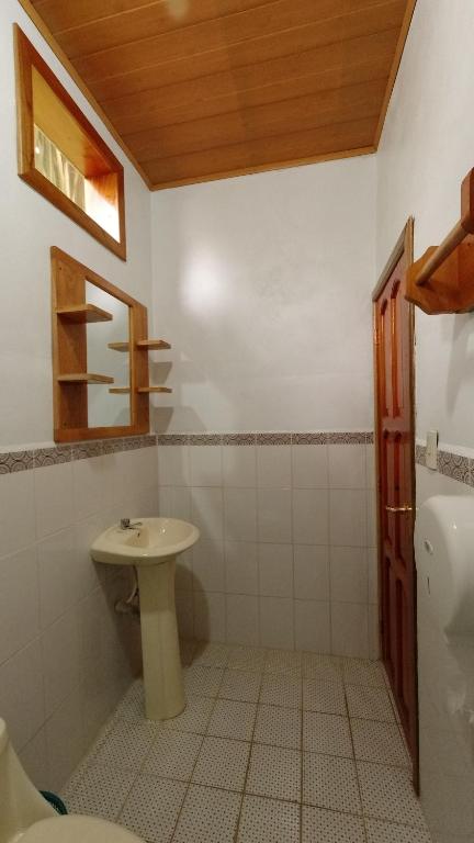 兰金艾尔丽池兰坤山林小屋的一间带水槽和卫生间的浴室