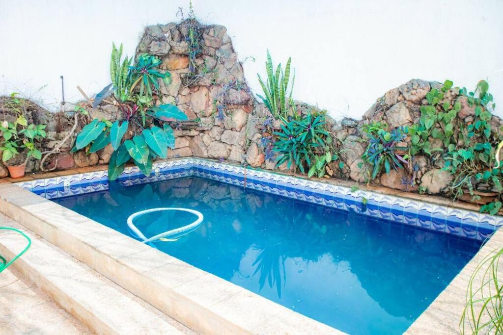 亚松森Hermoso Depto con Piscina en Calle Palma Asunción的石头墙前的游泳池