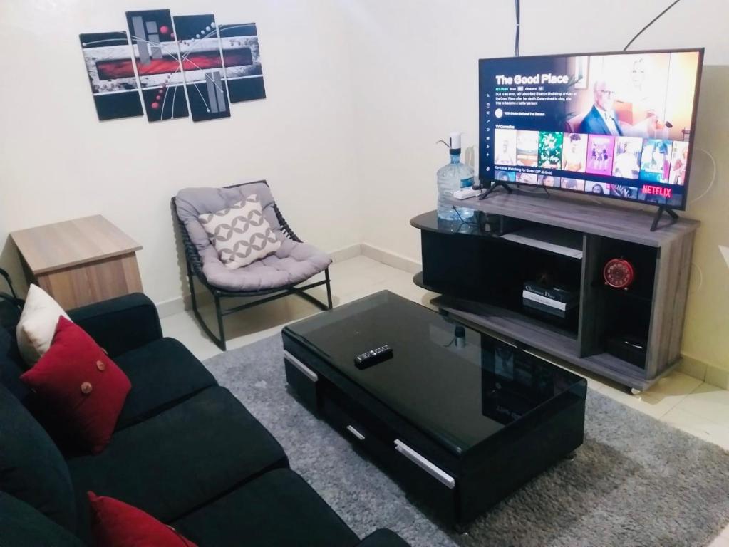 MeruJoshua’s place: cosy furnished one bedroom apt的带沙发和平面电视的客厅
