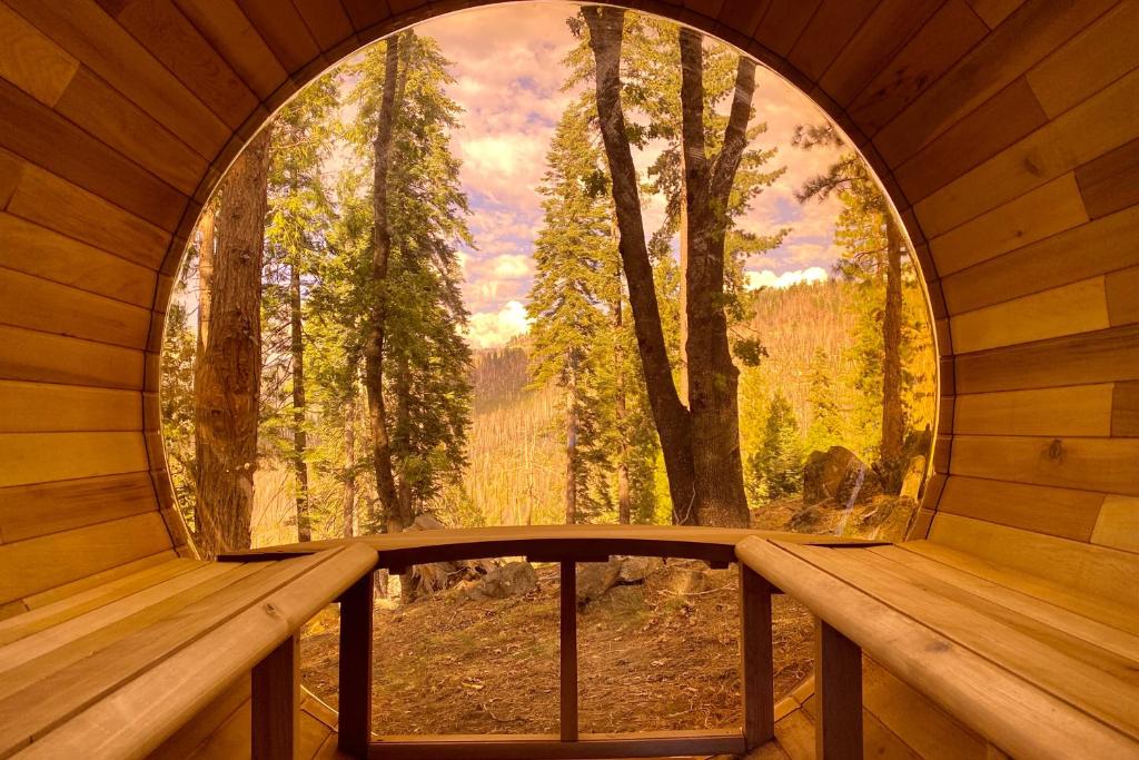 西优胜美地Yosemite West Family Chalet的木舱内的天窗享有森林美景
