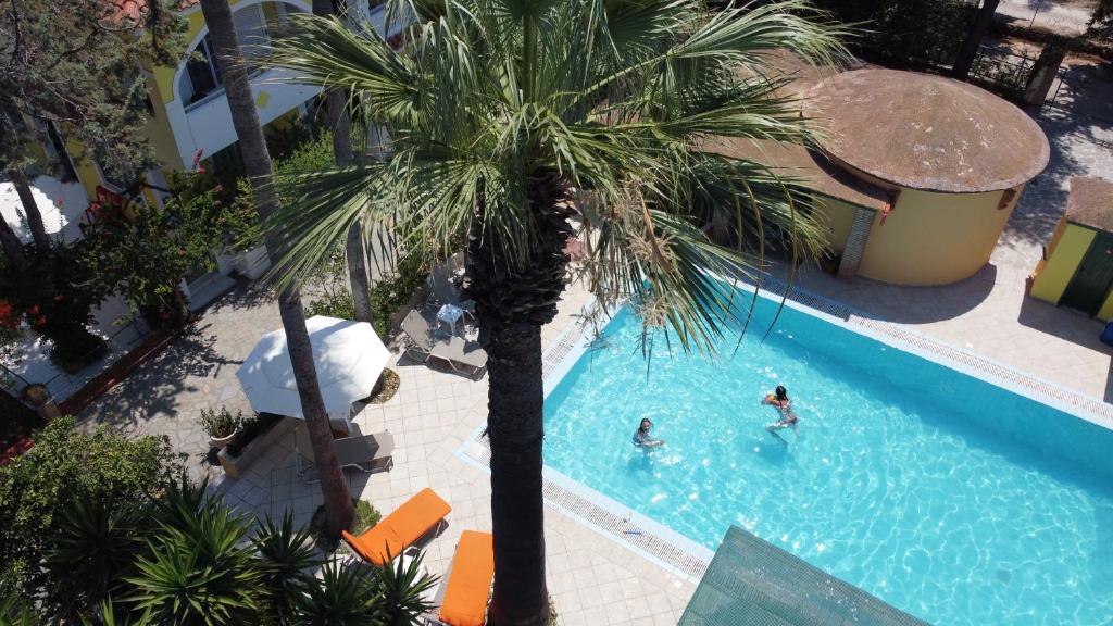 瓦西里科斯LEMON GARDEN的棕榈树和游泳池里的人的顶部景色