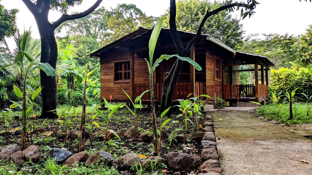 BalgueWood Cabin - Cabana Maderas的森林中的小木屋,有一条通往森林的路径