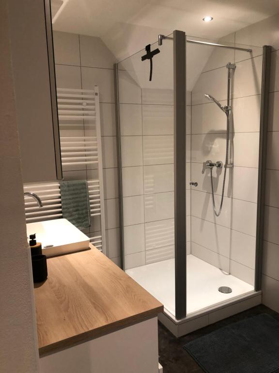 巴特德里堡Ferienwohnung am Eggegebirge的带淋浴和盥洗盆的浴室