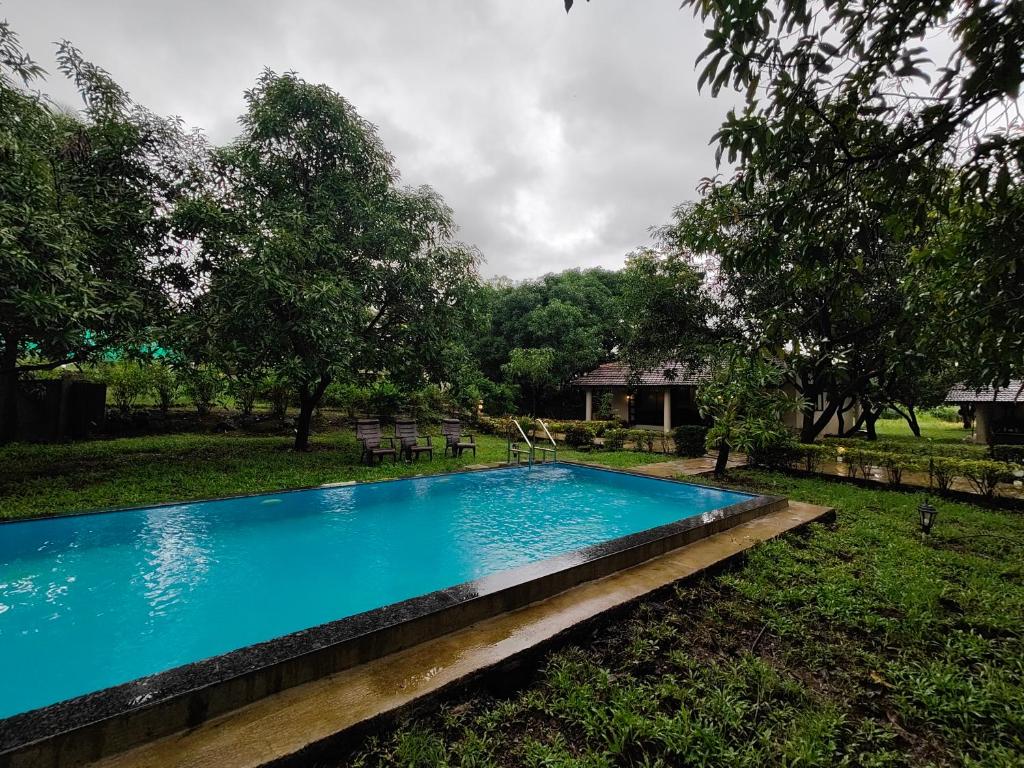 JambhulpādaSaffronStays Mango Huts by the River, Pali的一座绿树成荫的庭院中的蓝色游泳池