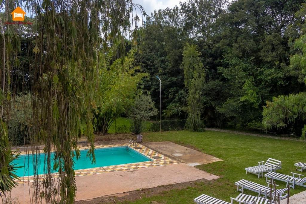 纳纽基Arabel Studio with Swimming Pool的一个带椅子和一棵树的庭院内的游泳池