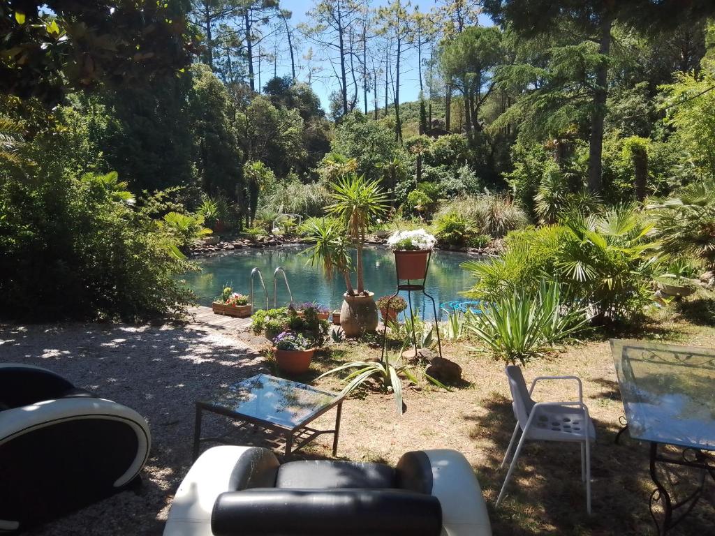 MourèzeChambre studio Verparadis的后院,带椅子和树木的水池