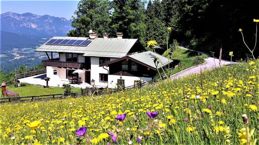 柯尼希斯湖畔舍瑙3 Bergpanorama und atenberaubende alpine Almlandschaft -Nichtraucherdomizil的一座花田小山上的房子