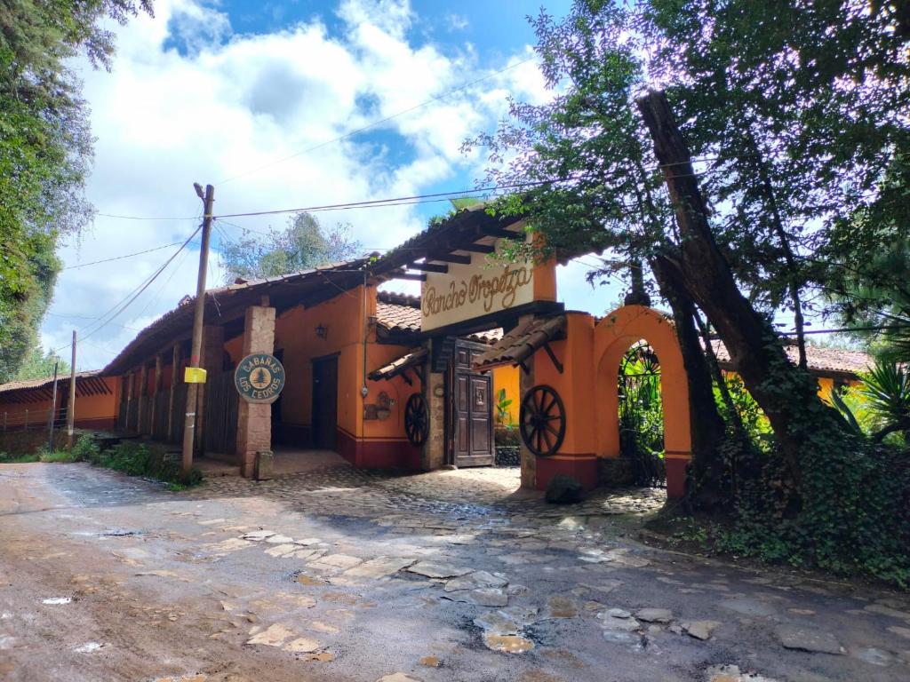 萨卡特兰Cabañas y habitaciones Los Cedros的一座橘色的建筑,前面有一棵树