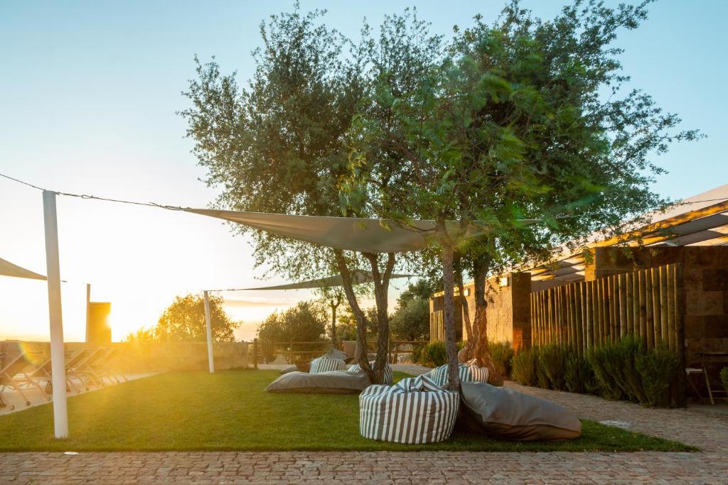 埃斯特雷莫斯Reflexos D'Alma Turismo Rural的庭院配有白色遮阳伞和椅子,位于草地上