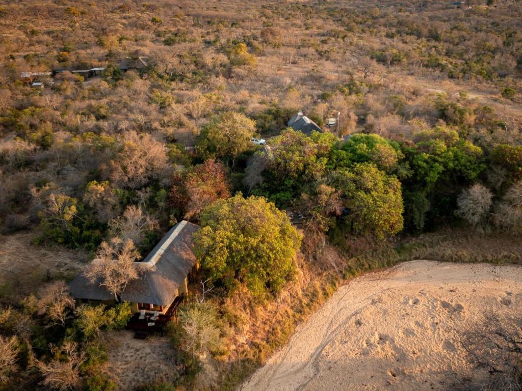 侯斯普瑞特Shimungwe Lodge的森林中房屋的空中景观