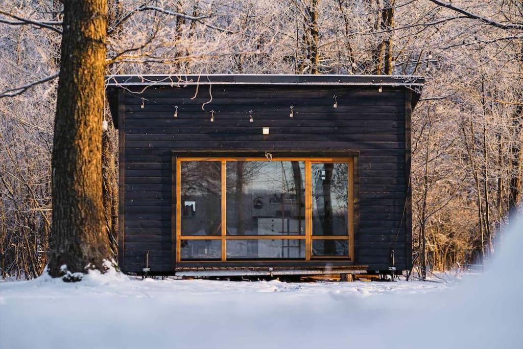 特拉凯Beautiful Tiny house on the lake side.的树林中一个小小木屋,设有窗户