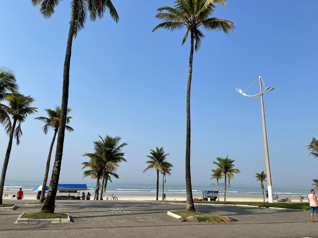 瓜鲁雅Acomodações Tio Will的海滩上一排棕榈树