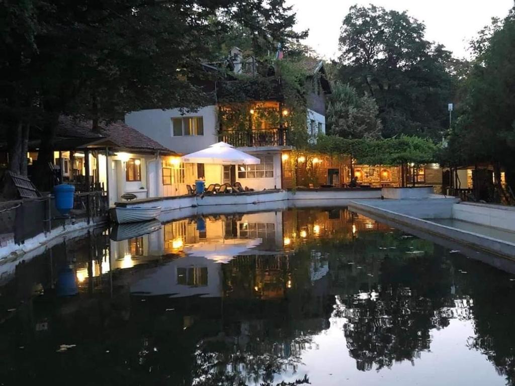 TopolitsaРибарник Forest Мagic的一座晚上设有游泳池的房子