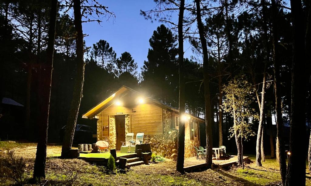 里奥帕尔Casa Rural Campanilla的小木屋,晚上在树林里灯火通明