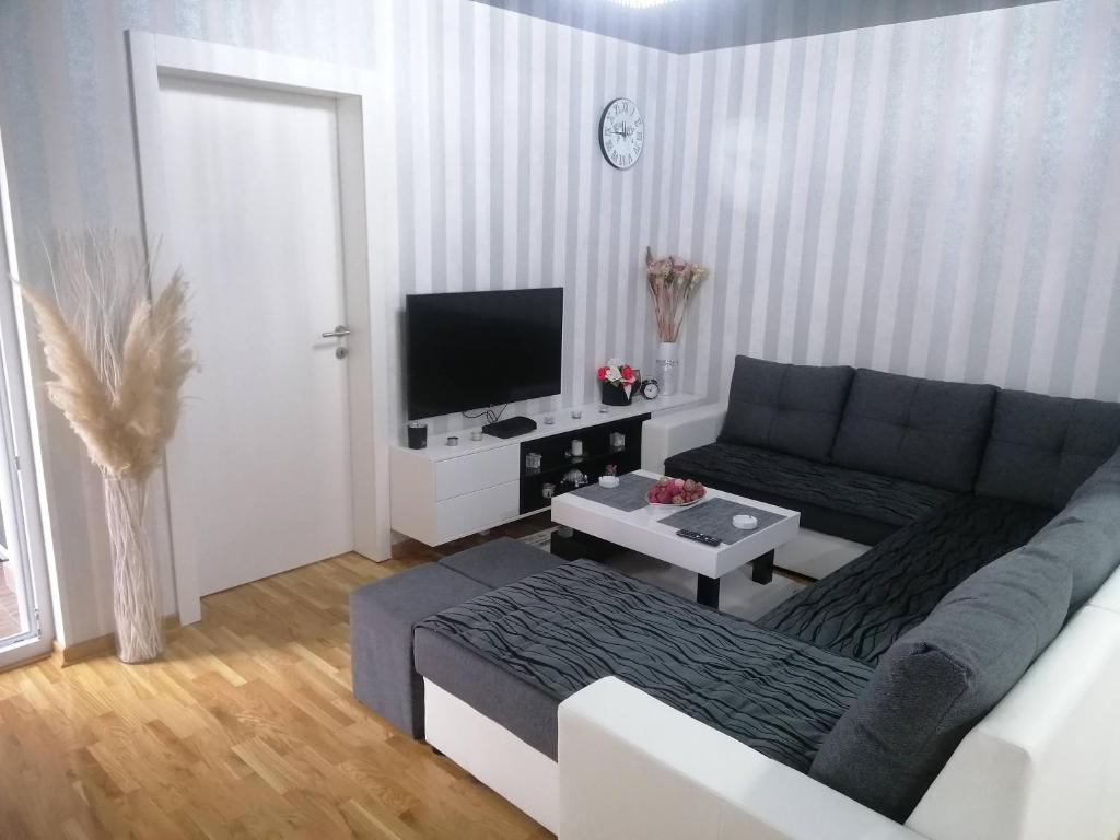 ObrenovacNenadovic Apartman的带沙发和电视的客厅
