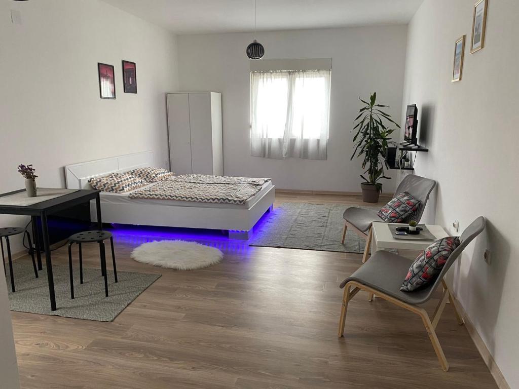 贝尔格莱德Studio Centar Surcin的客厅配有床和桌椅
