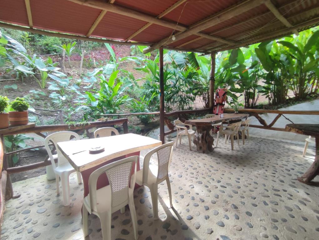 埃尔扎伊诺Mirador Dentro del Parque Tayrona的户外庭院配有桌椅和树木。