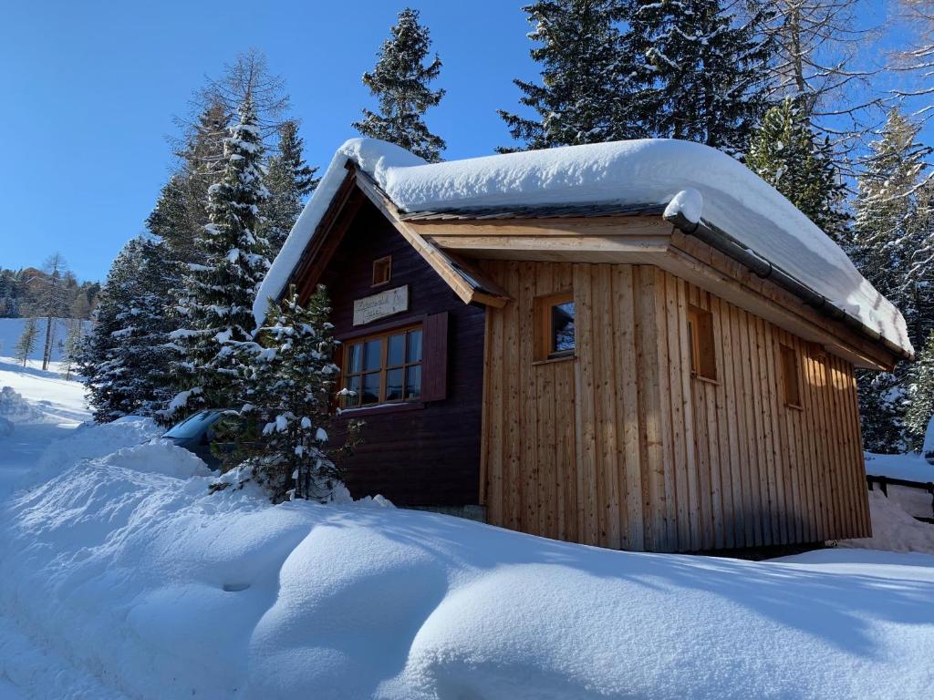 图拉彻霍赫Zirbenwald Chalet的小屋顶部有雪