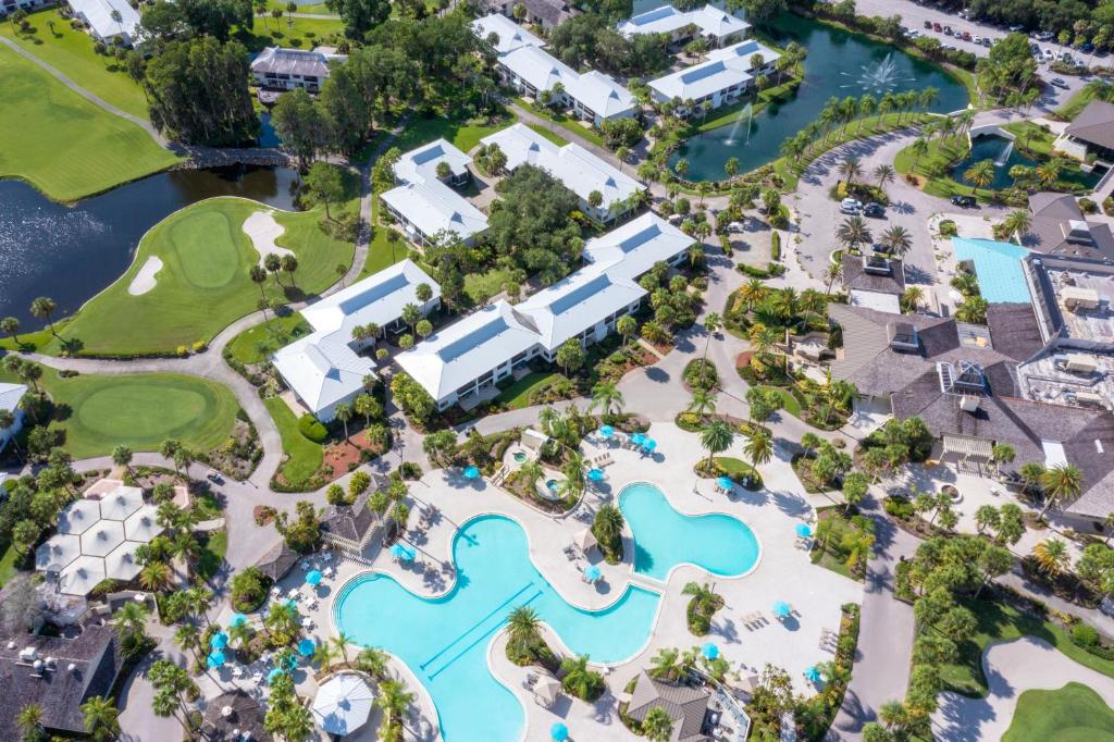 卫斯理堂Saddlebrook Golf Resort & Spa Tampa North-Wesley Chapel的享有度假村游泳池的空中景致