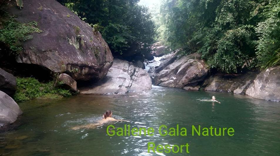 基图尔格勒Gallene Gala Nature Resort的两个人在一条有瀑布的河流里游泳